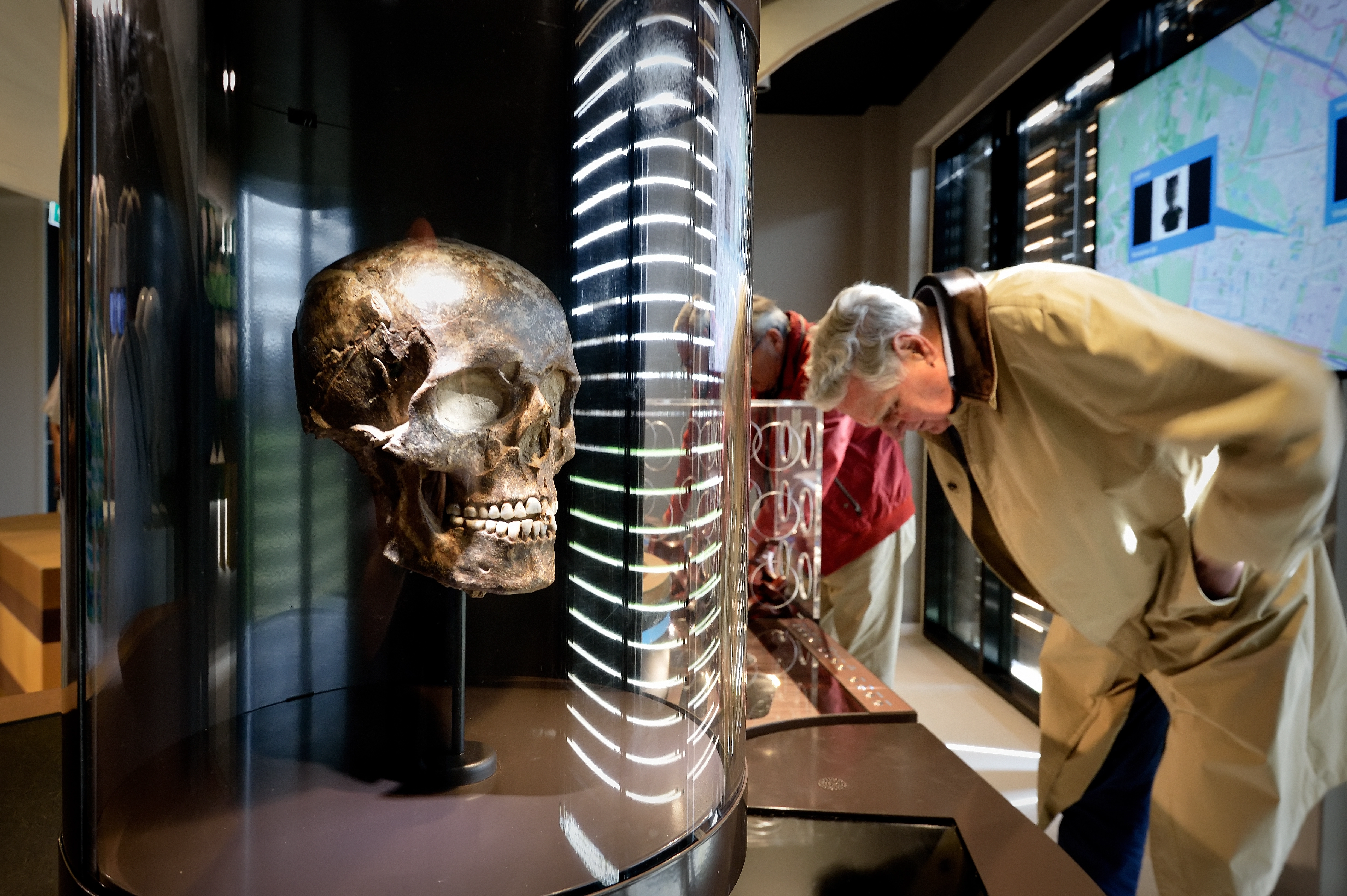 Close-up van een schedel in een vitrine, met bezoekers die een ander onderdeel van de expositie bekijken.